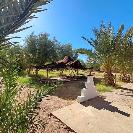 Jardin Du Desert M'Hamid Ngoại thất bức ảnh