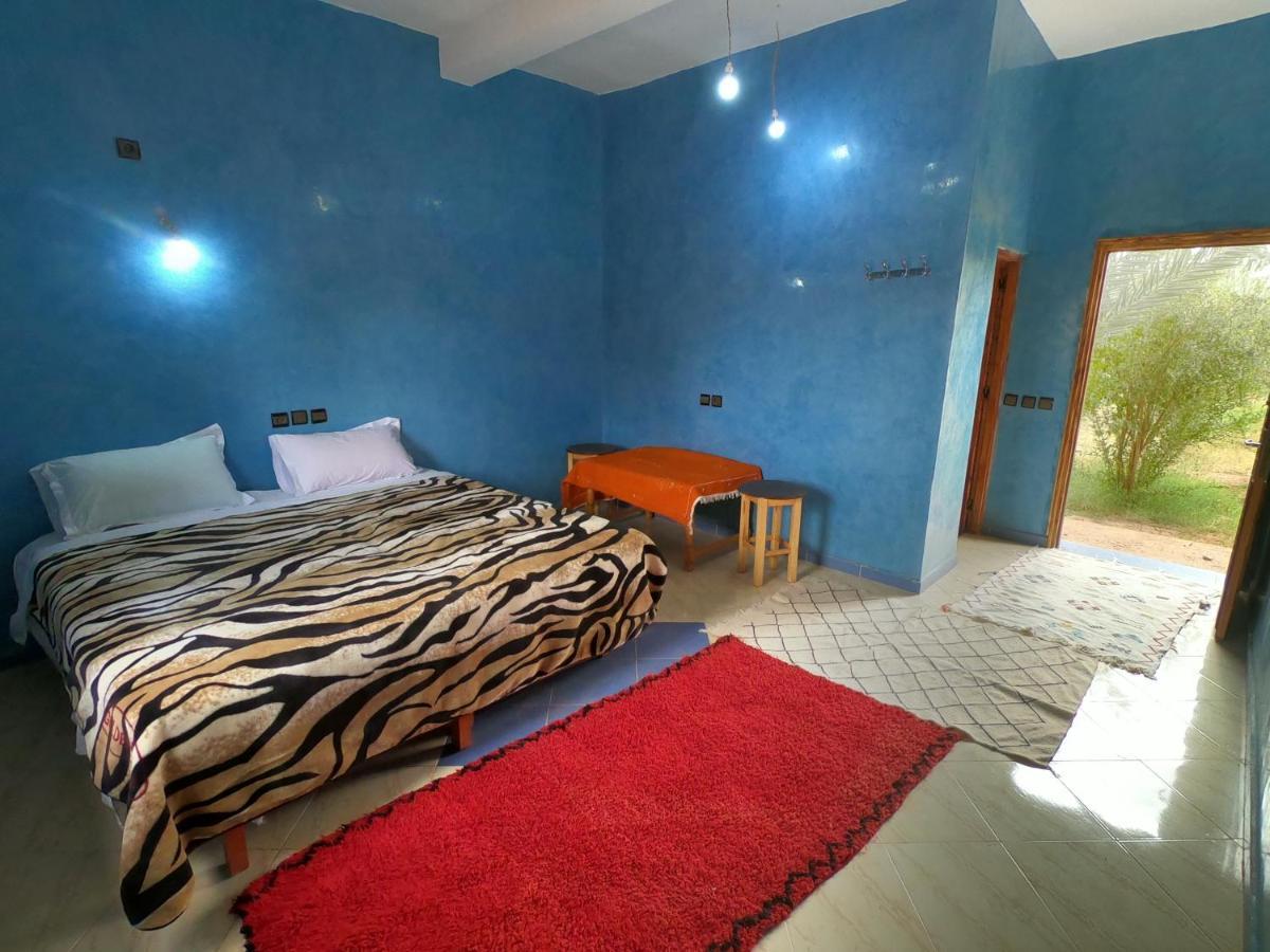 Jardin Du Desert M'Hamid Ngoại thất bức ảnh