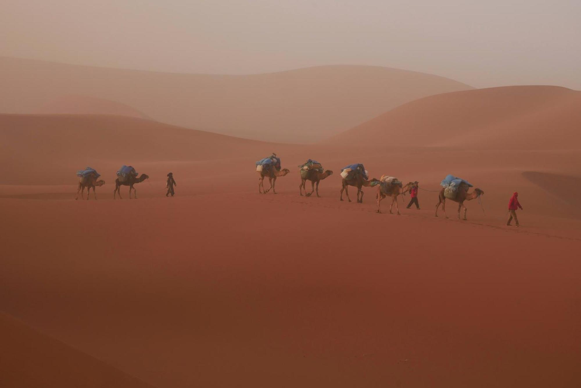 Jardin Du Desert M'Hamid Ngoại thất bức ảnh