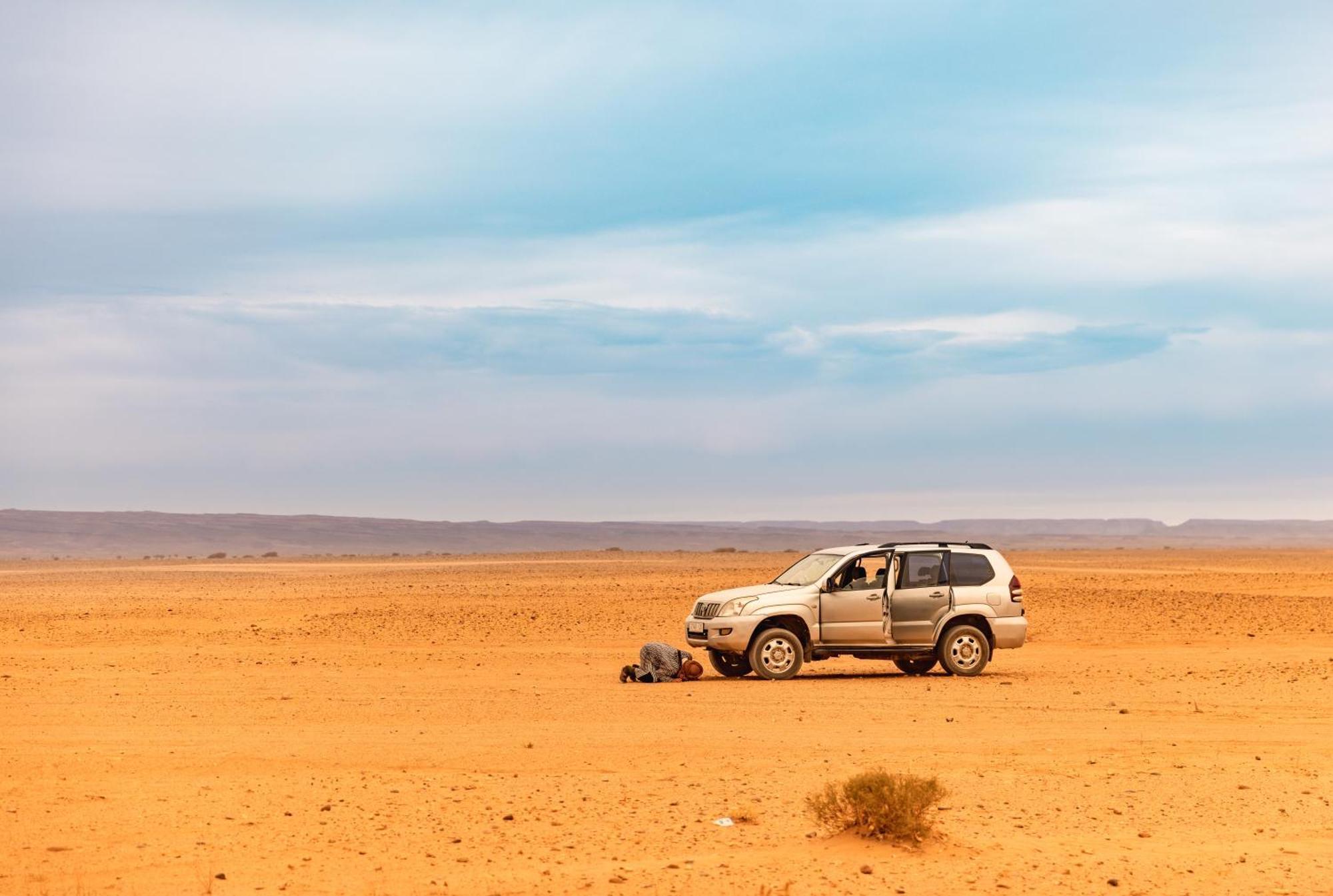 Jardin Du Desert M'Hamid Ngoại thất bức ảnh