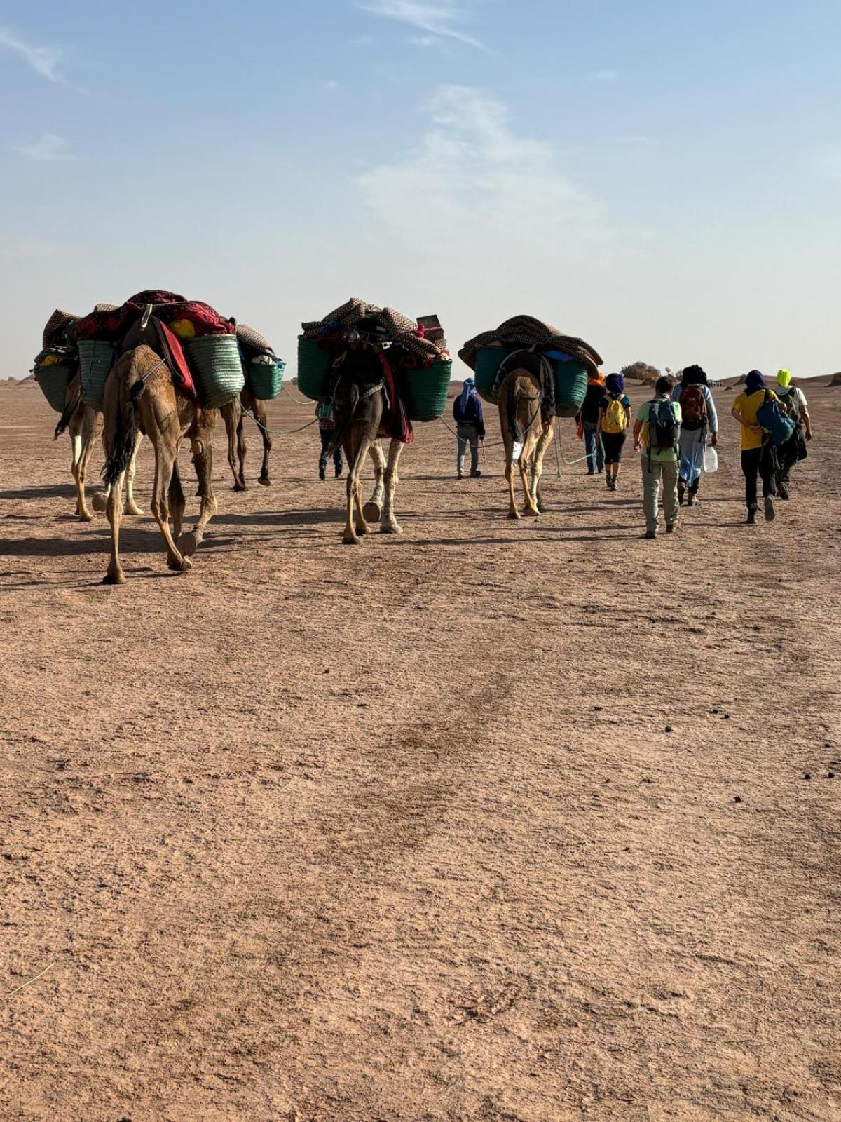 Jardin Du Desert M'Hamid Ngoại thất bức ảnh