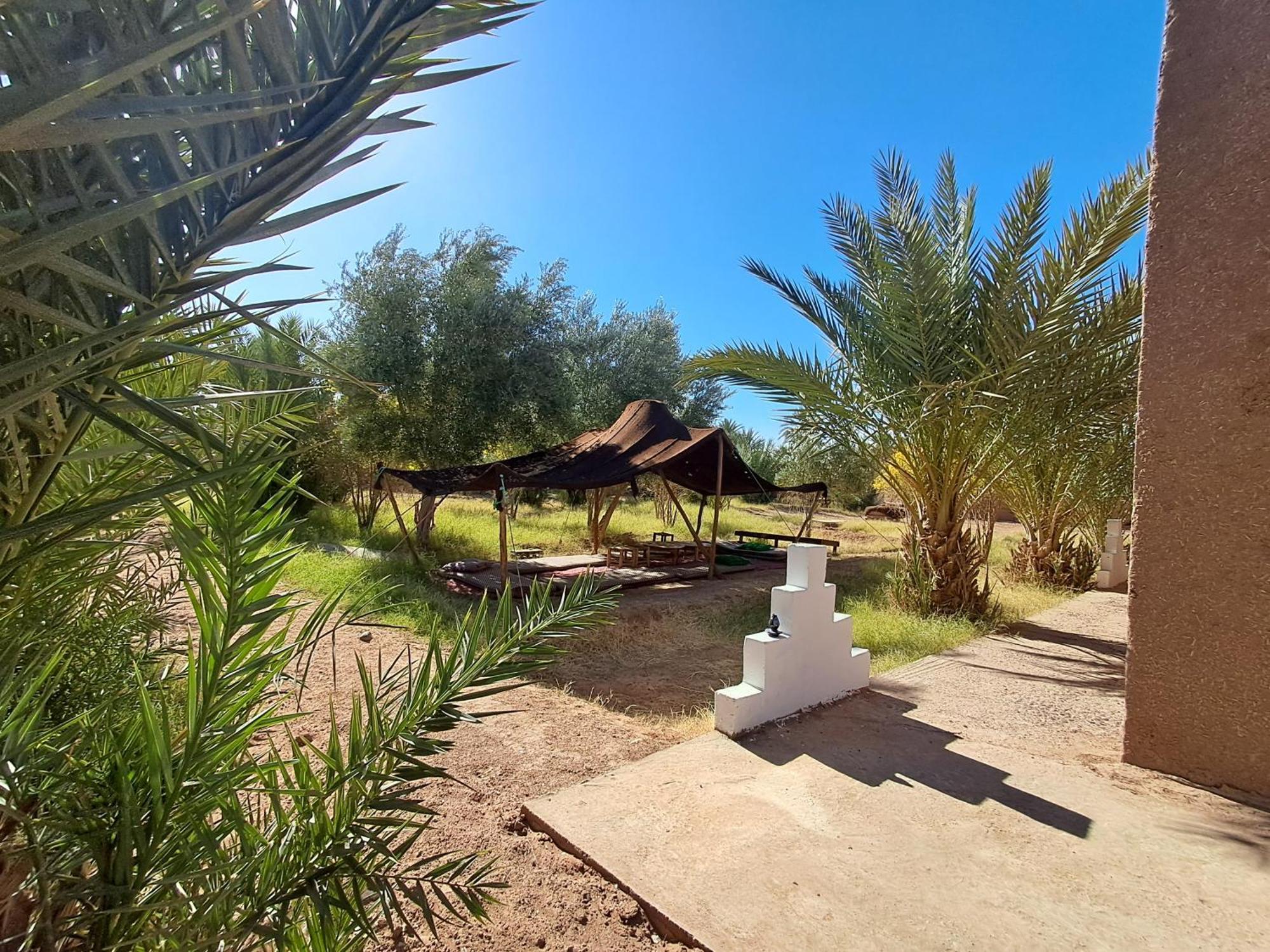Jardin Du Desert M'Hamid Ngoại thất bức ảnh