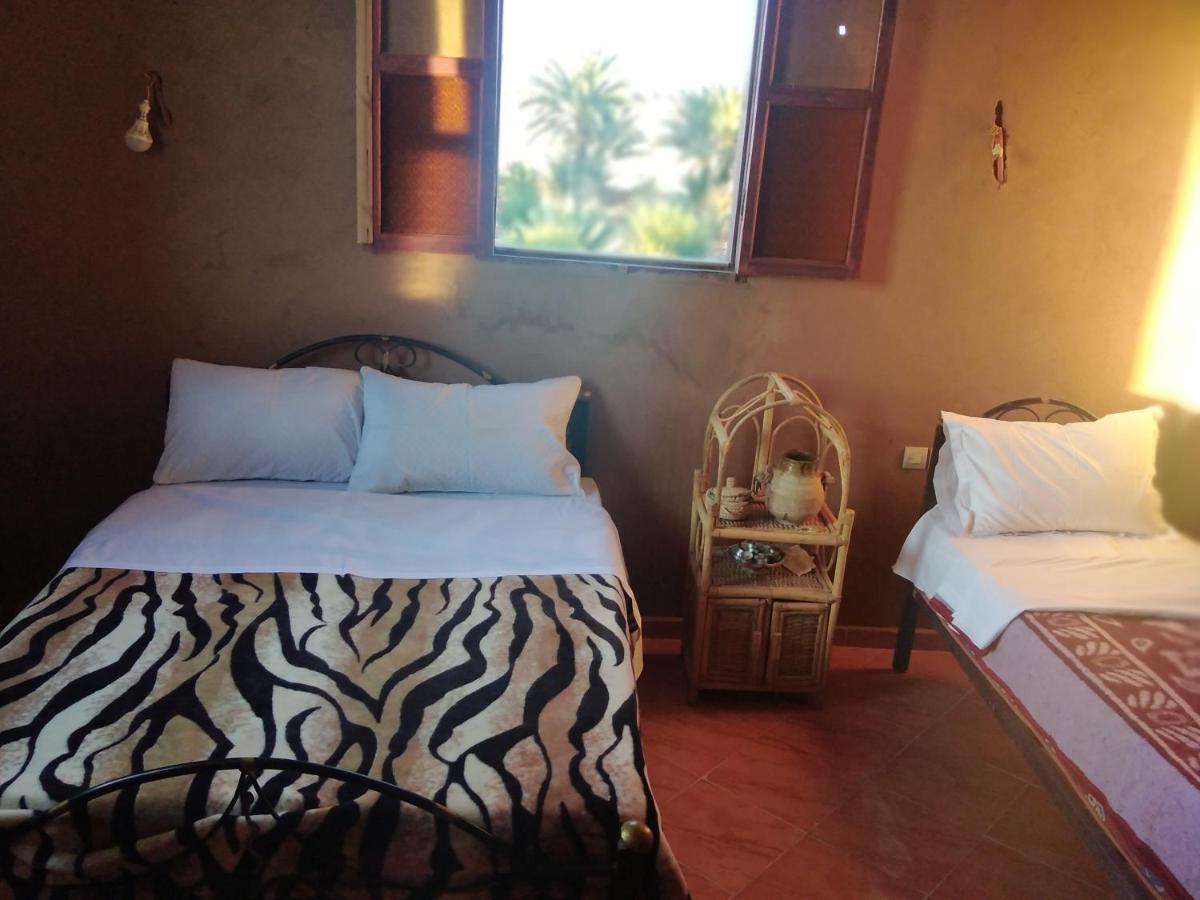 Jardin Du Desert M'Hamid Ngoại thất bức ảnh